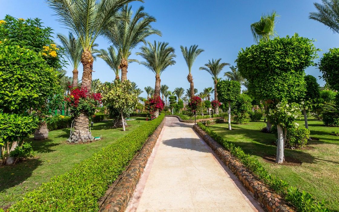 Ośrodek wypoczynkowy Hawaii Le Jardin Aqua - Families And Couples Only Hurghada